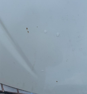 Litlir stakir ryðblettir sem falla innan marka þjónustunnar